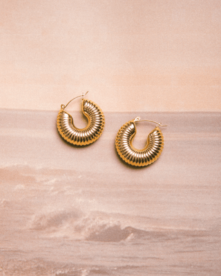 Cowrie Hoop Earrings | Gold