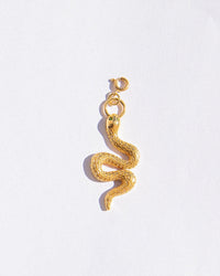 Snake Charm